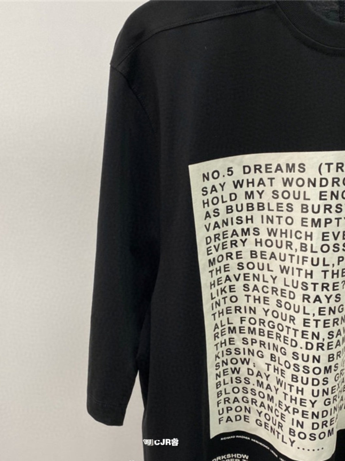 Dark Avant-garde Rick Owen Slogan RO Print Oversized Short Sleeve Tee